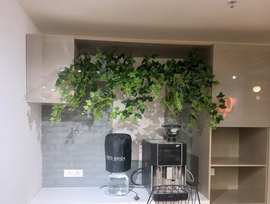 Greenscape Creation